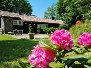 Ferienhaus Vogelsbergblick, Fernblick, Sauna, Kamin, 1700m eingezäunt in Alleinlage